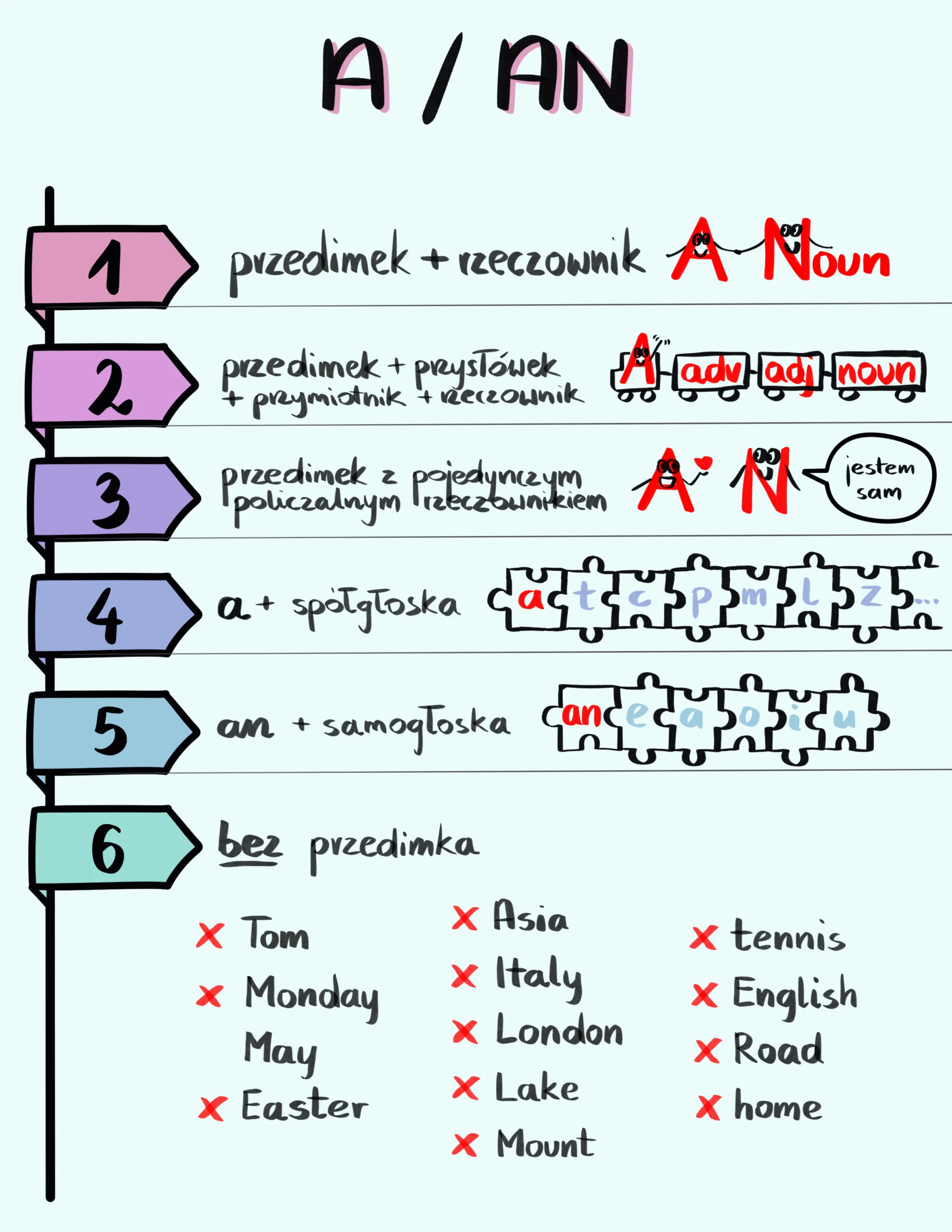 Przedimki a / an - grafika