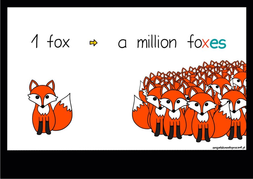 Liczba mnoga. Rysunkowe przykłady w kolorze